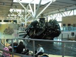 IMG_4419.JPG