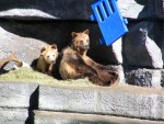 IMG_4511.JPG
