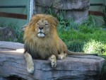 IMG_4535.JPG