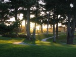 Sunset through the trees. 

IMG_4566.JPG